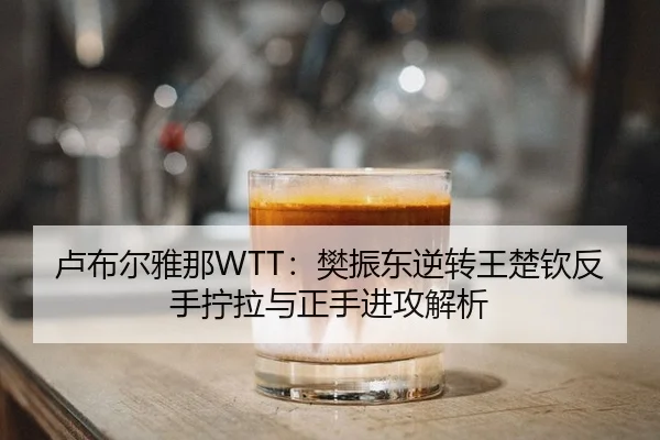 lu-bu-er-ya-na-fan-zhen-dong-ni-zhuan-wang-chu-qin-fan-shou-ning-la-yu-zheng-shou-jin-gong-jie-xi-2-751.jpg